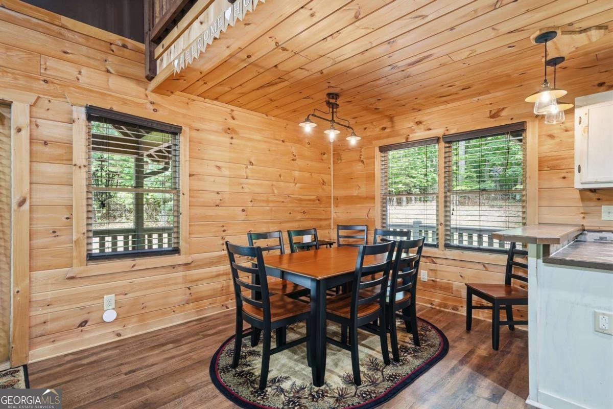 55 Hallee Drive Mineral Bluff - Photo 41