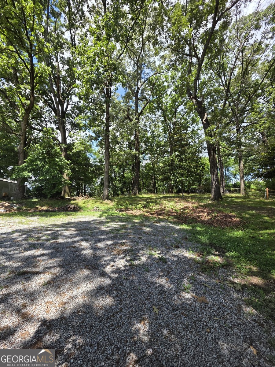 807 Jones Avenue Rockmart - Photo 12