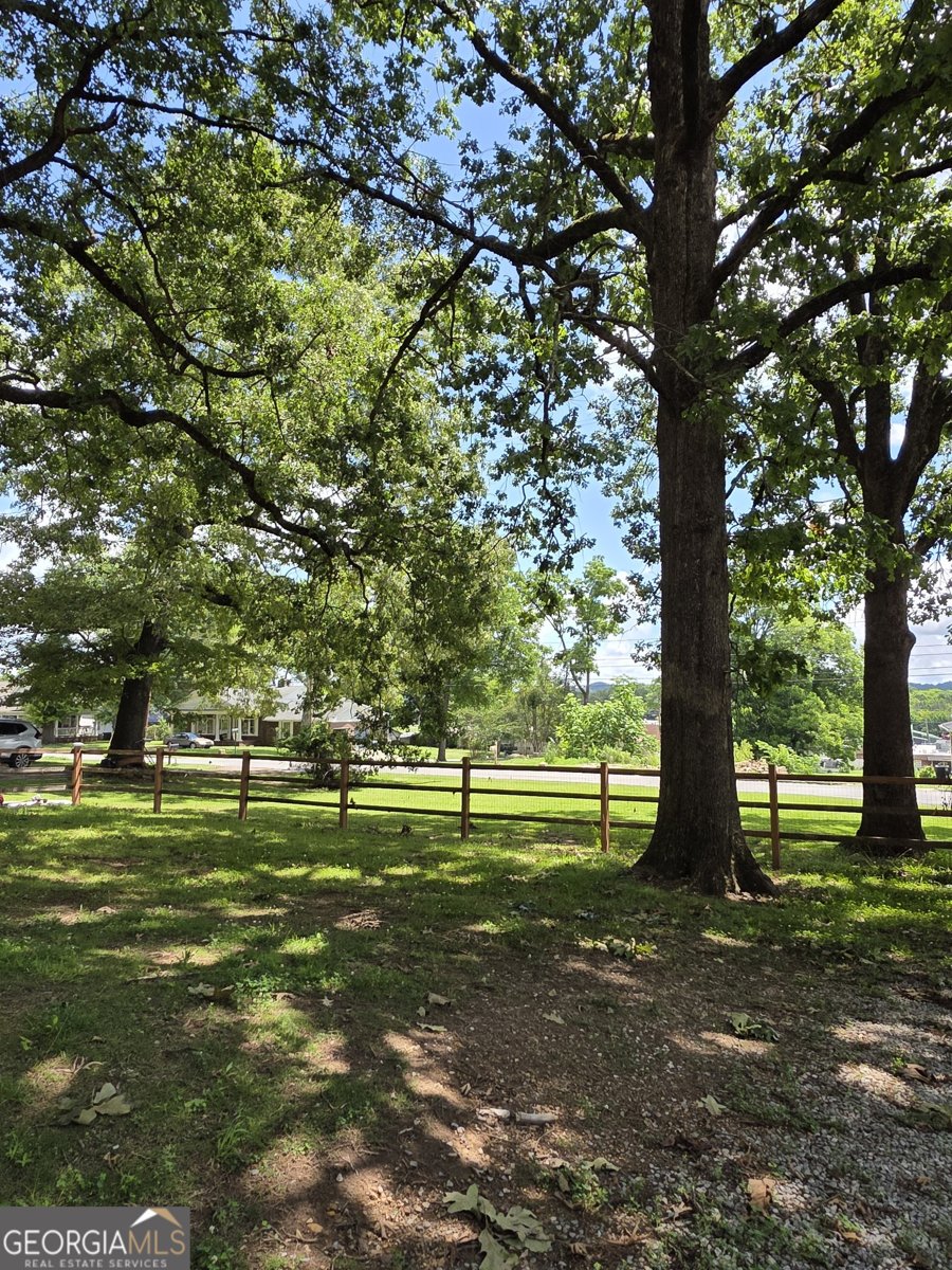 807 Jones Avenue Rockmart - Photo 6