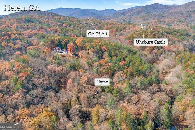243 Ridge Road Helen - Photo 50
