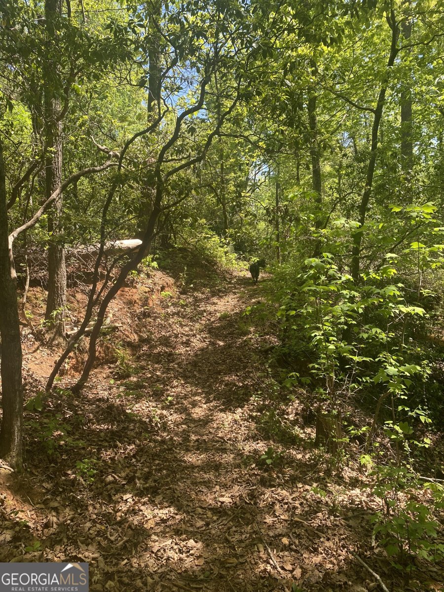 159 Prospect Trail Cleveland - Photo 49