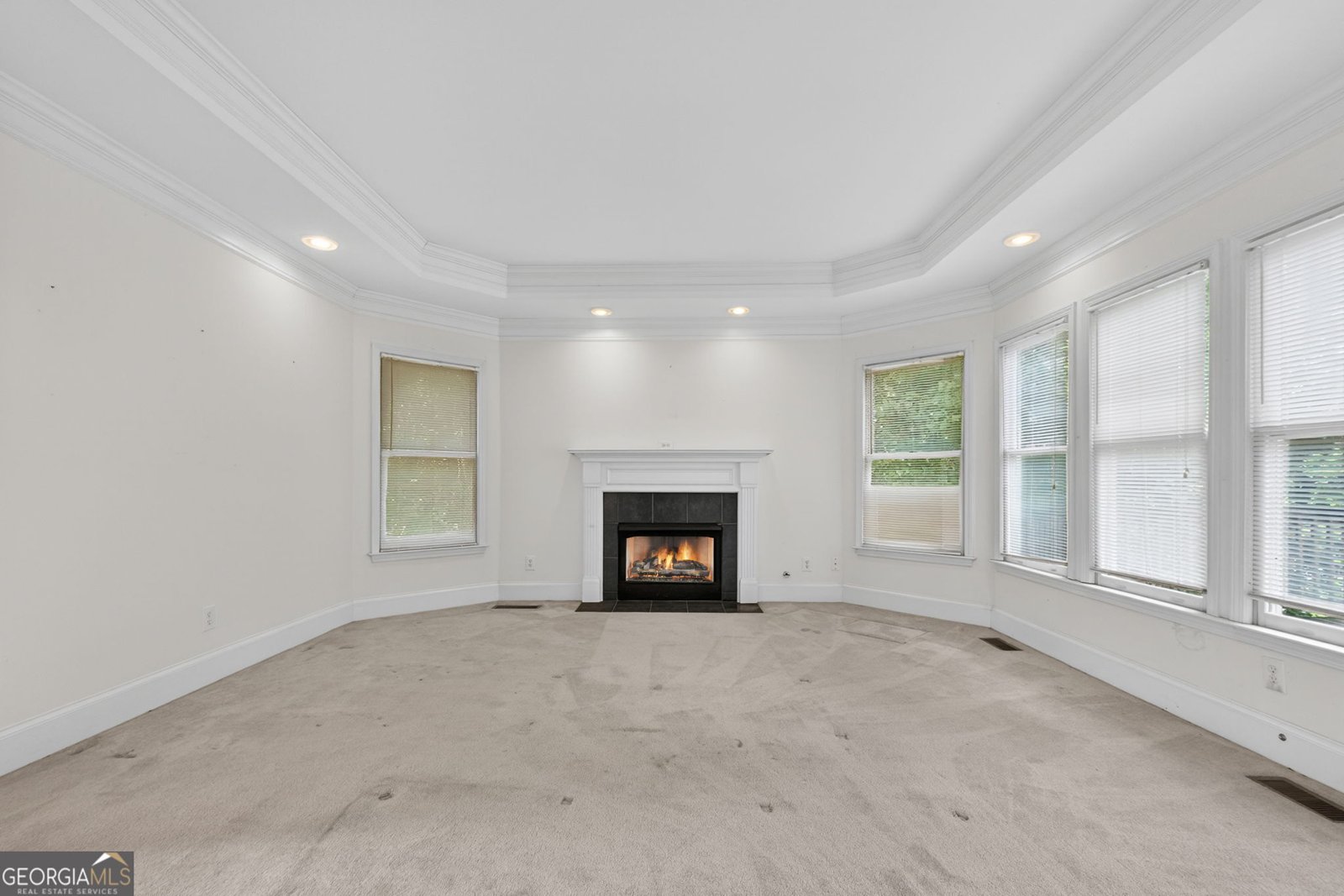 105 Monroe Drive McDonough - Photo 10