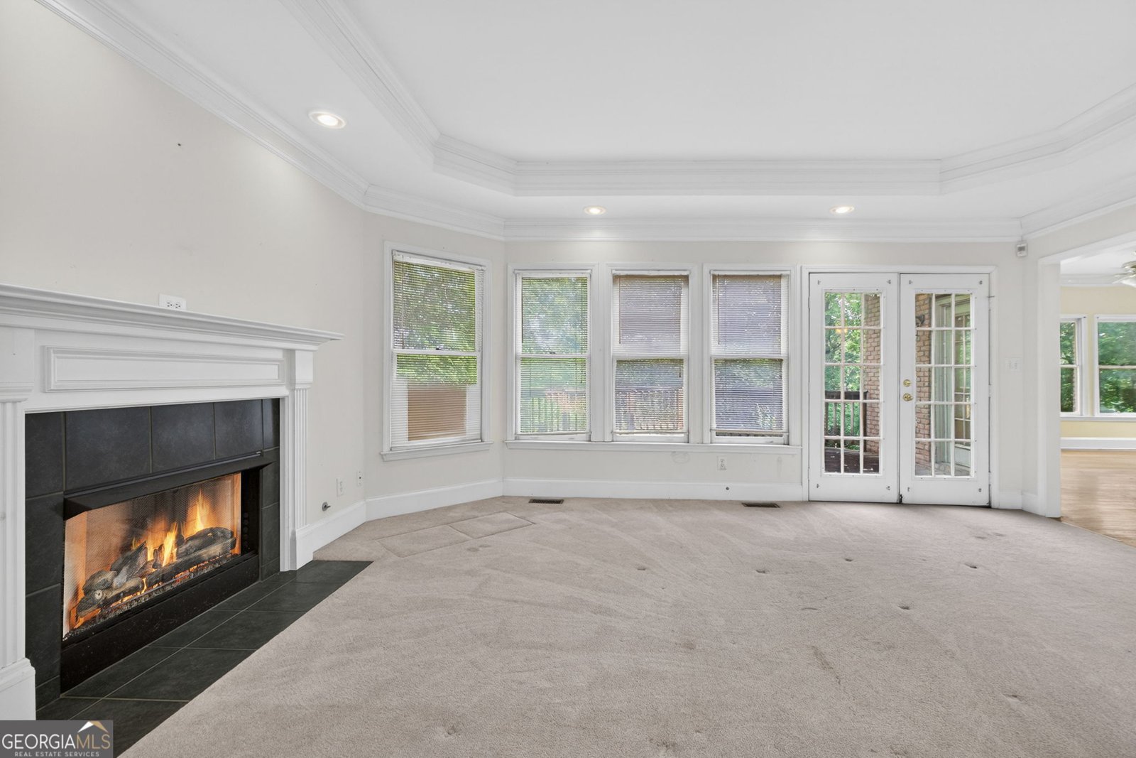 105 Monroe Drive McDonough - Photo 9