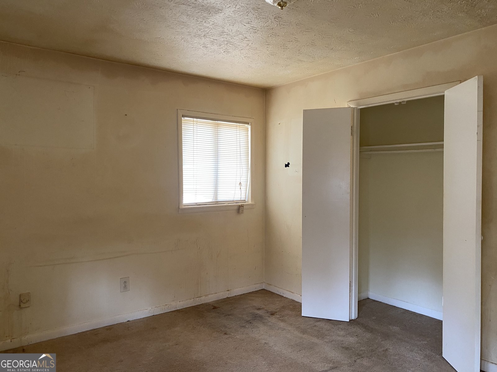 4404 Cedar Ridge Trail Stone Mountain - Photo 12