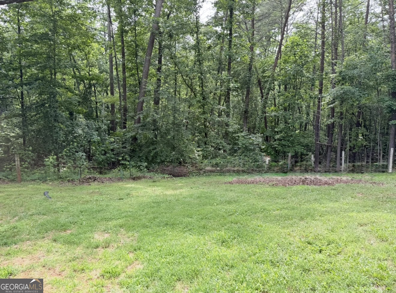 227 Clarkesville Heights Dr Clarkesville - Photo 37