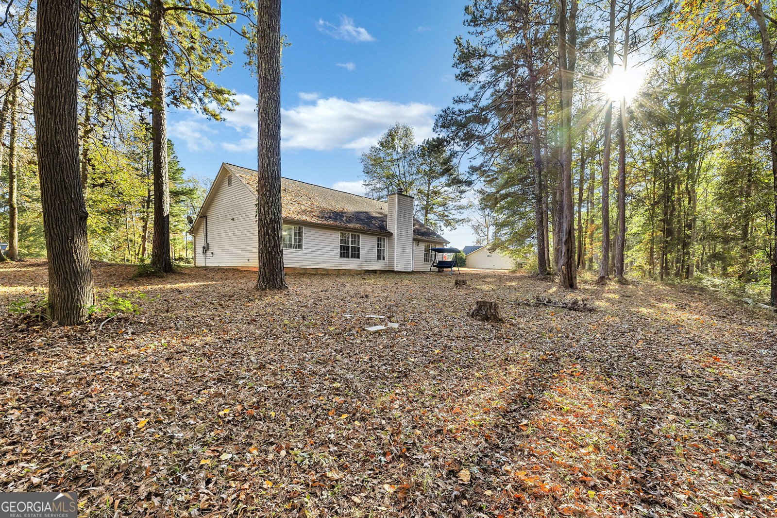 423 Serenity Walk McDonough - Photo 11