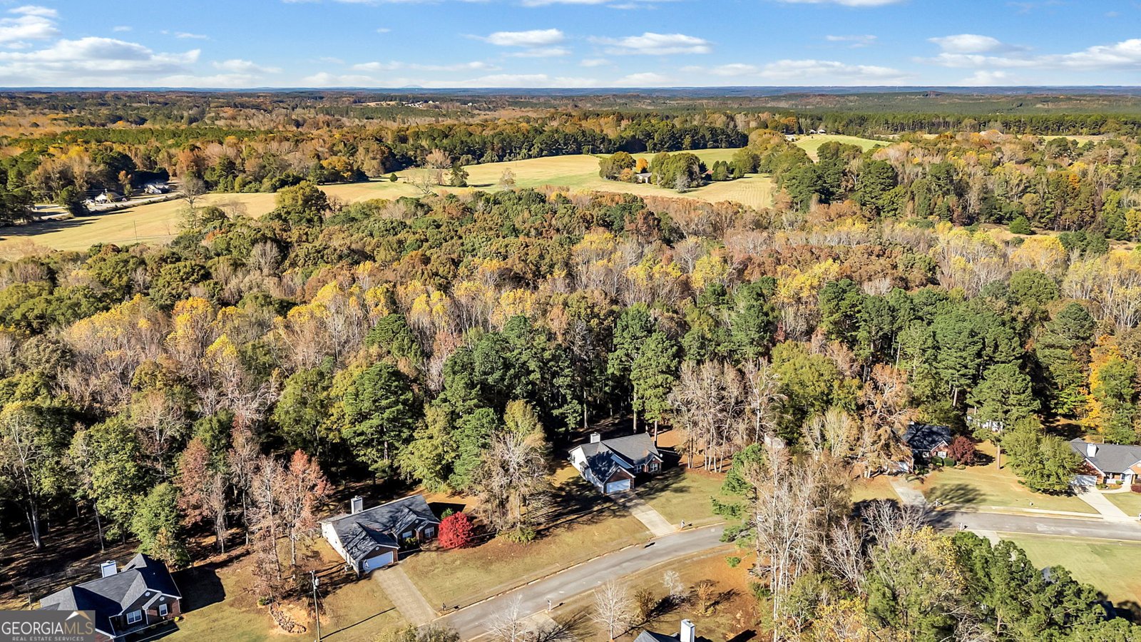 423 Serenity Walk McDonough - Photo 32