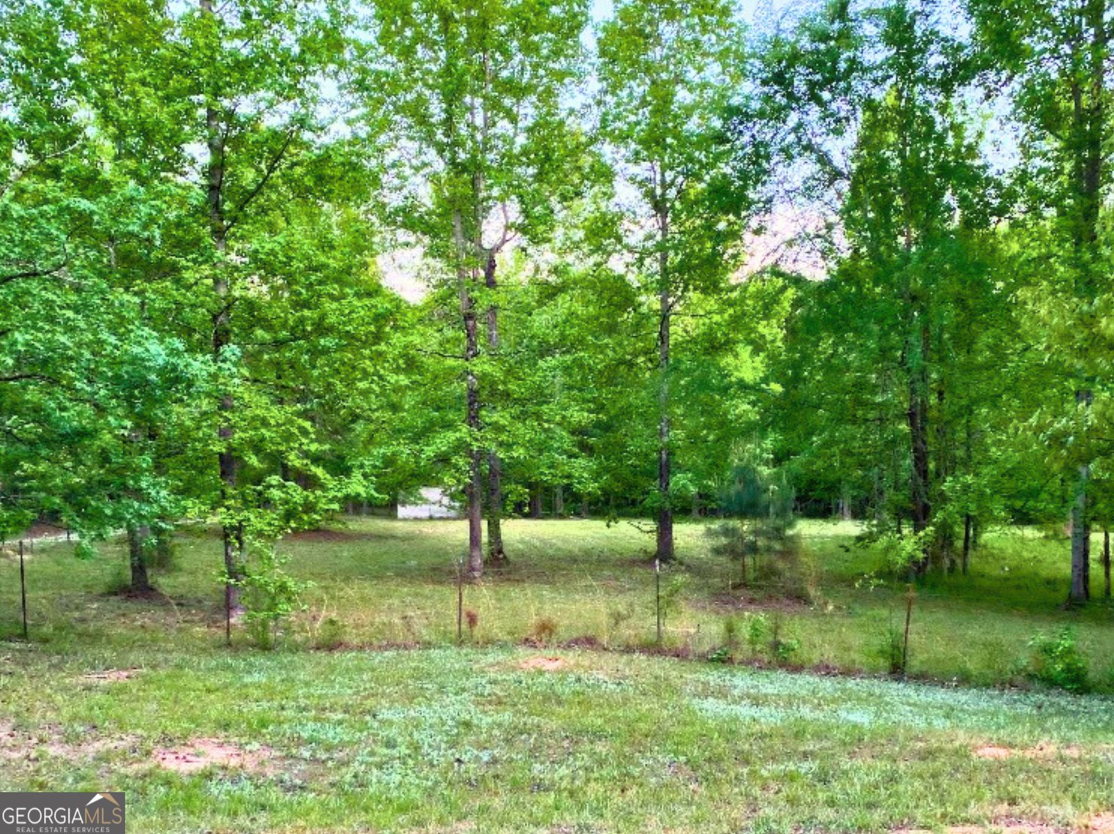 316 Biltmore Road Mansfield - Photo 45