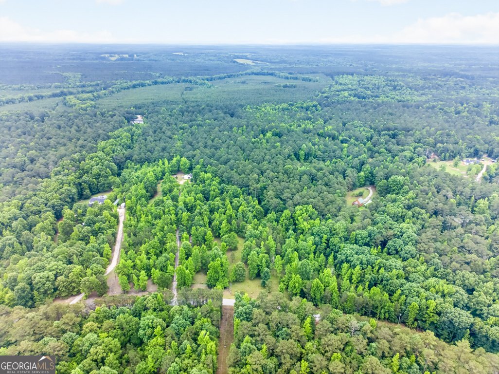 316 Biltmore Road Mansfield - Photo 53