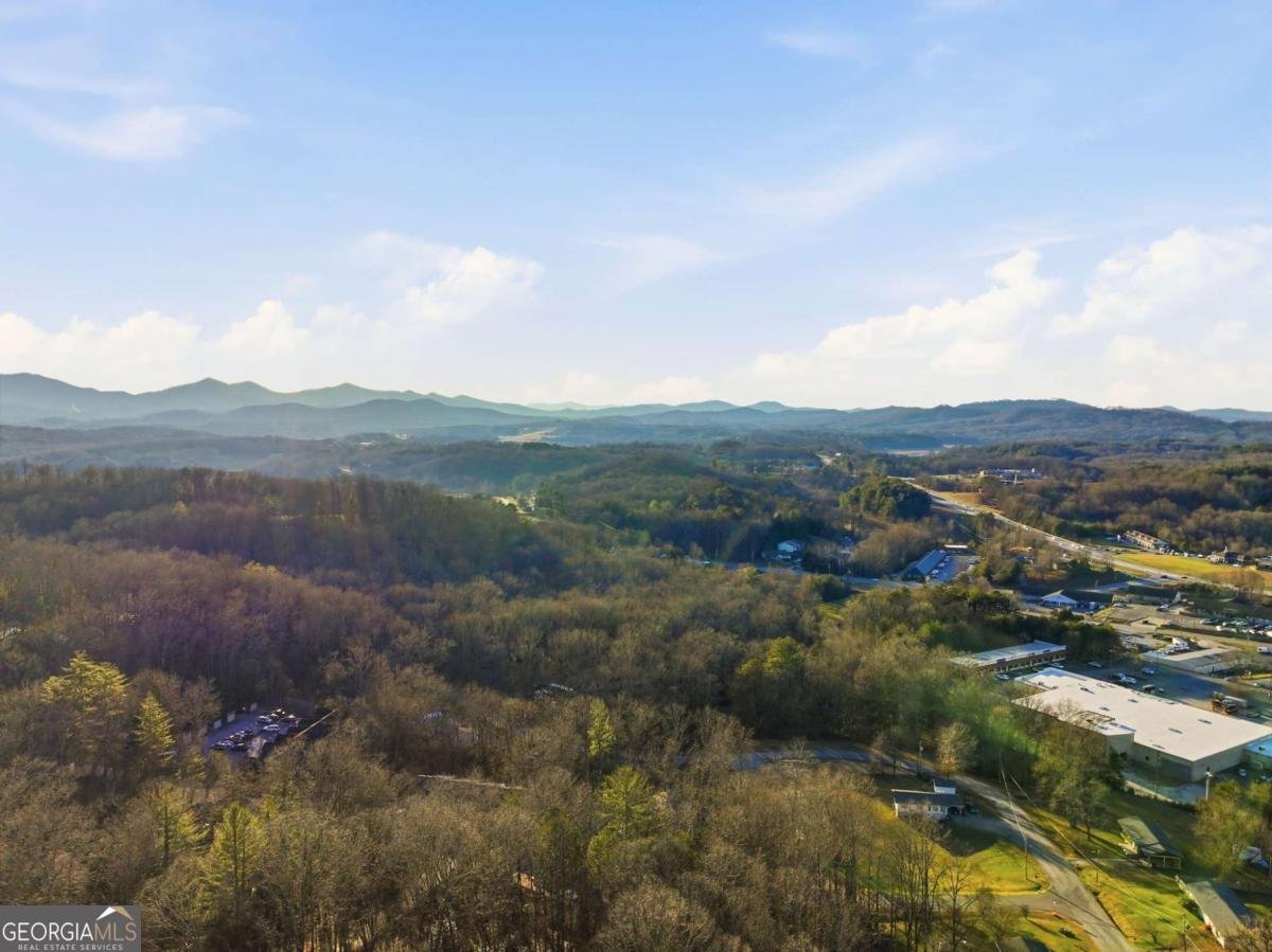 46 James Drive Blairsville - Photo 28
