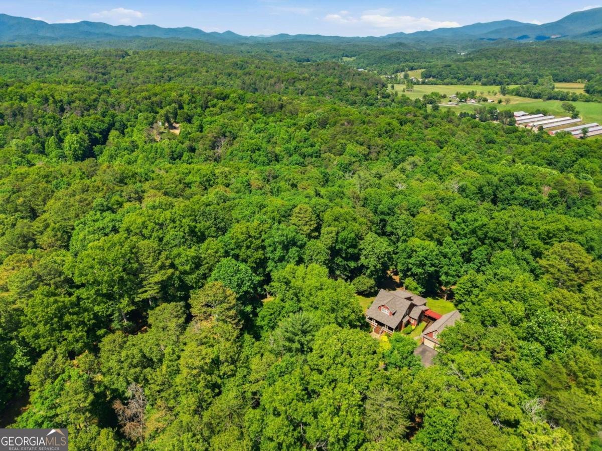 1110 Chatsworth Highway Ellijay - Photo 44
