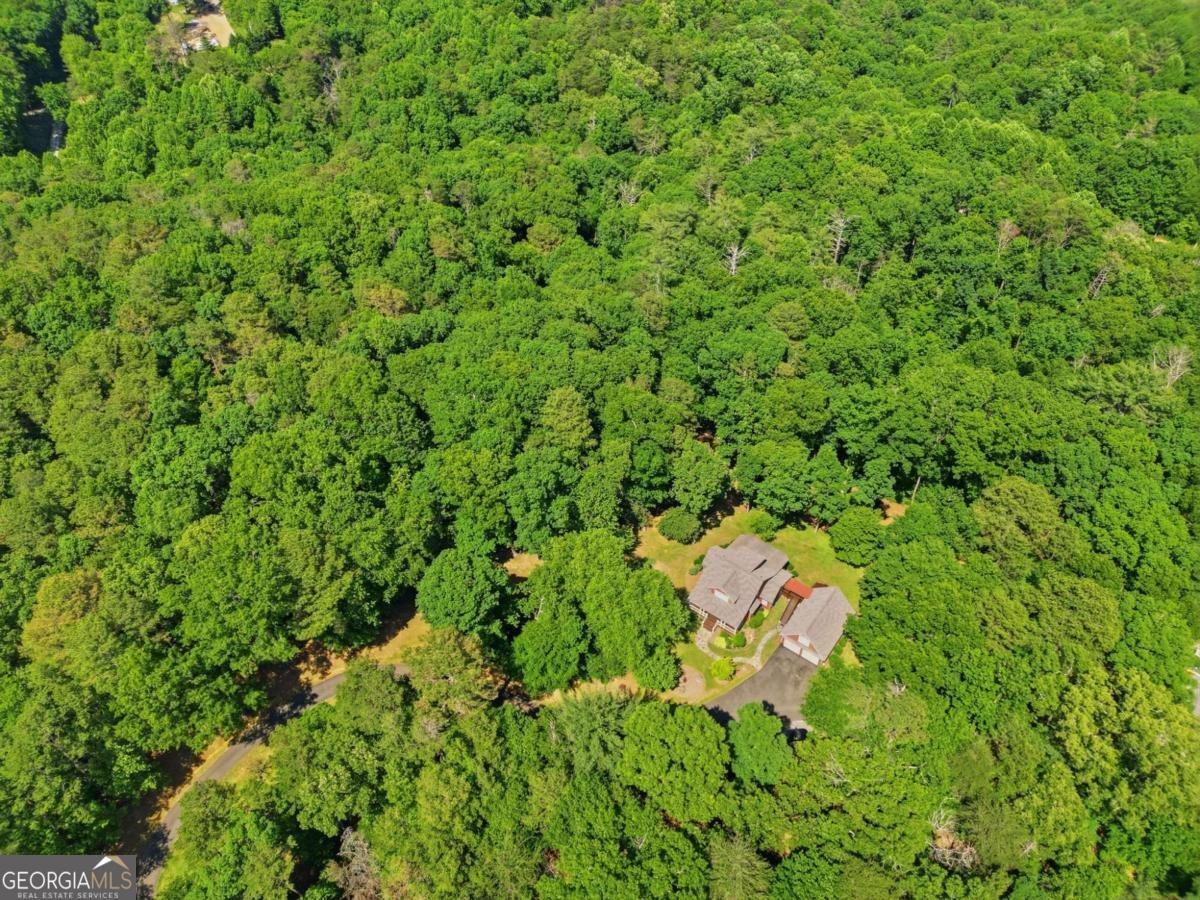 1110 Chatsworth Highway Ellijay - Photo 45