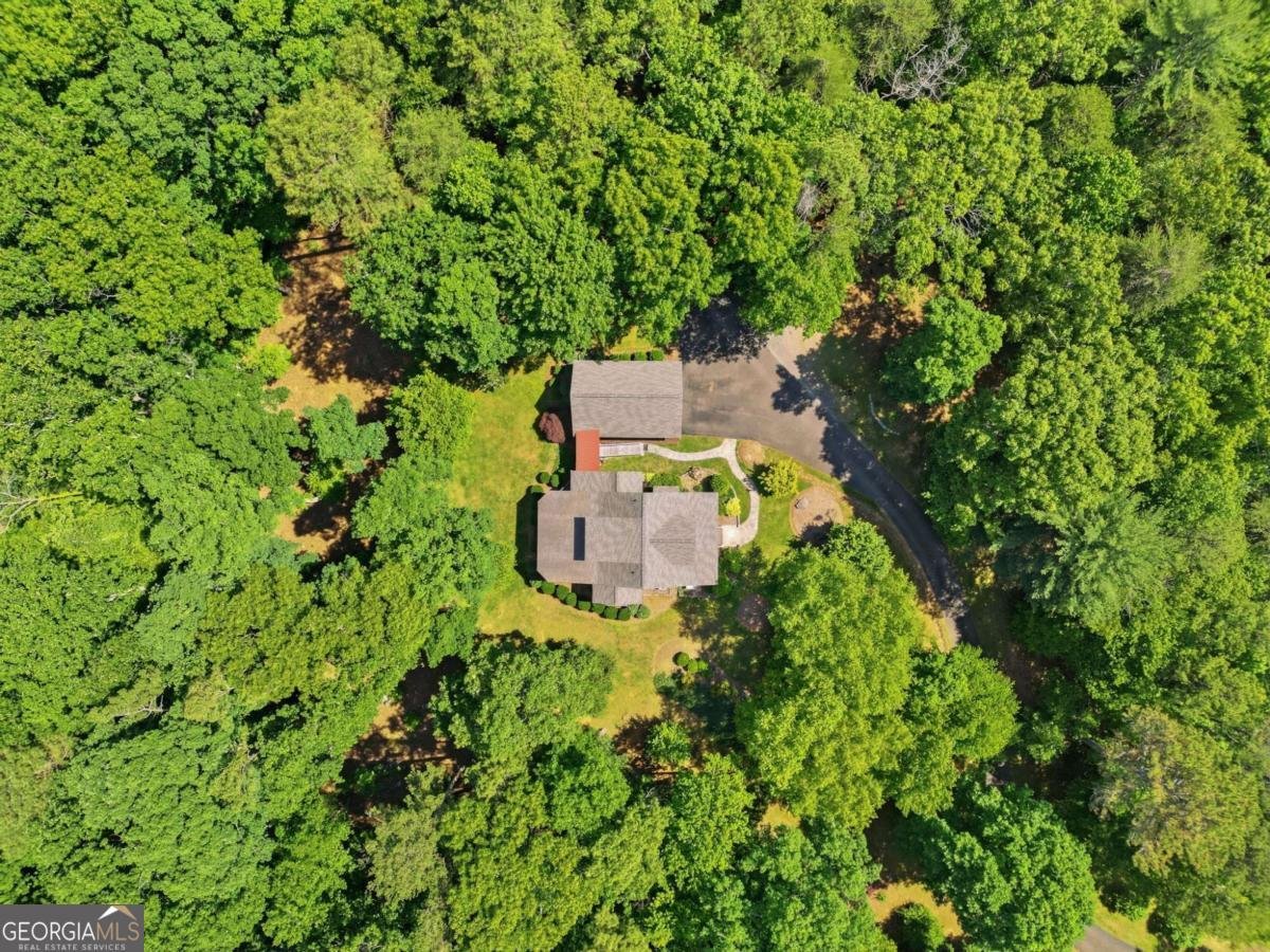1110 Chatsworth Highway Ellijay - Photo 46