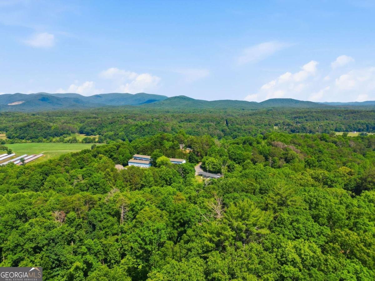 1110 Chatsworth Highway Ellijay - Photo 48