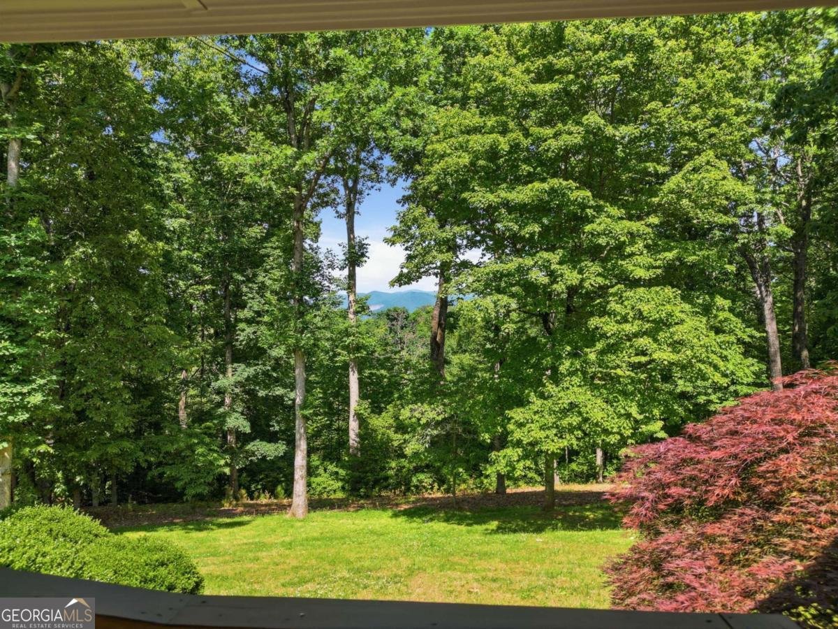 1110 Chatsworth Highway Ellijay - Photo 49