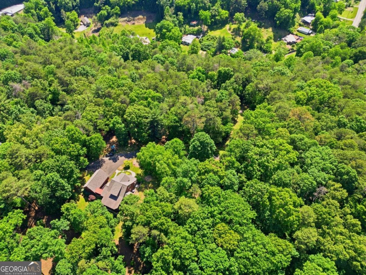 1110 Chatsworth Highway Ellijay - Photo 50
