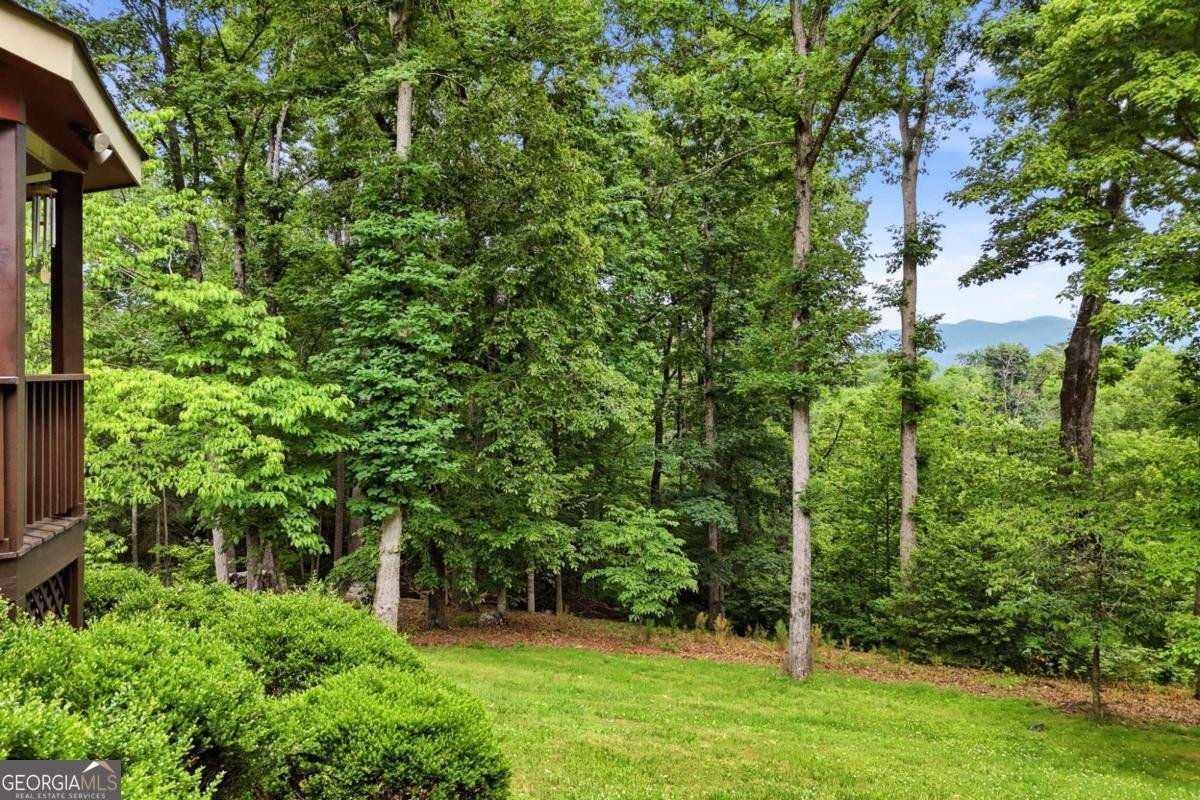 1110 Chatsworth Highway Ellijay - Photo 60