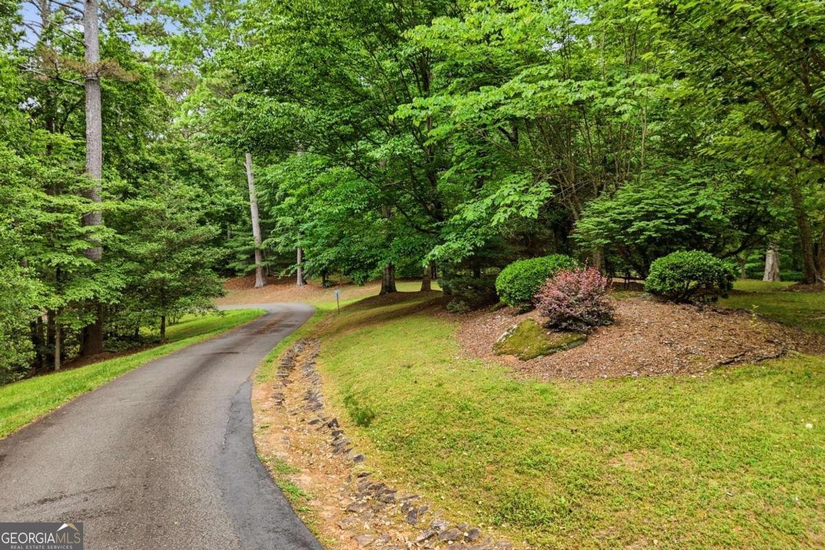 1110 Chatsworth Highway Ellijay - Photo 68
