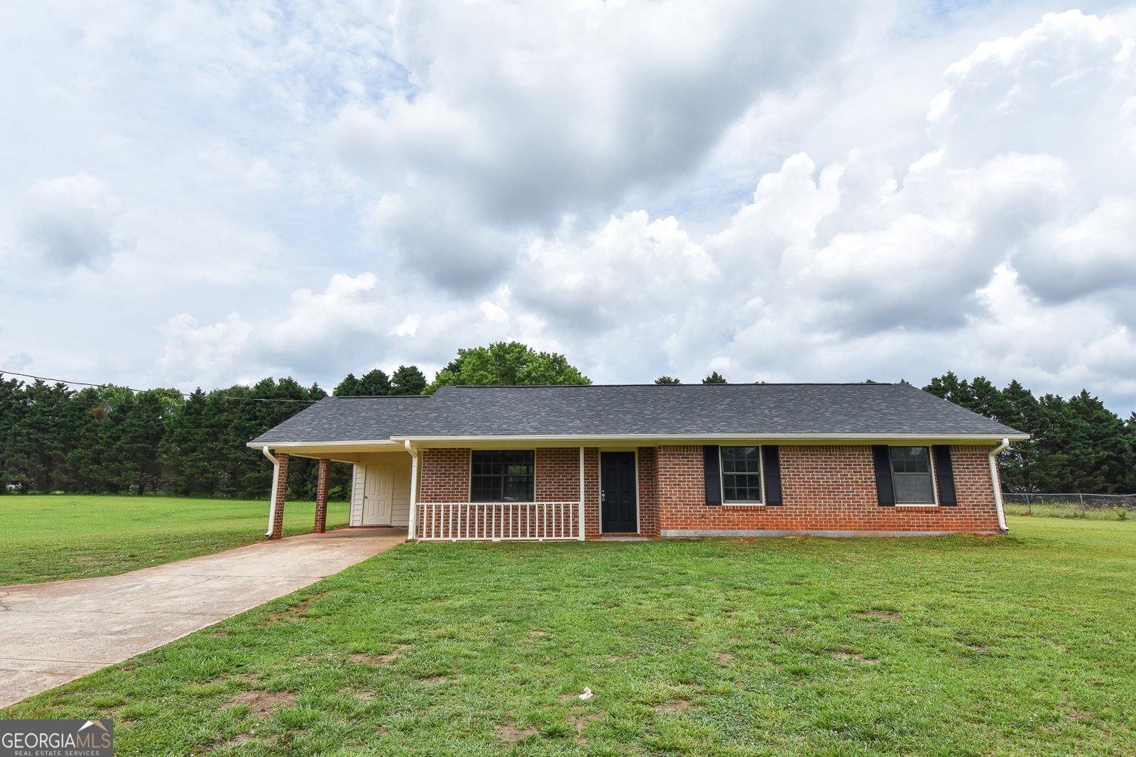 113 Meadowview Lane Williamson - main photo
