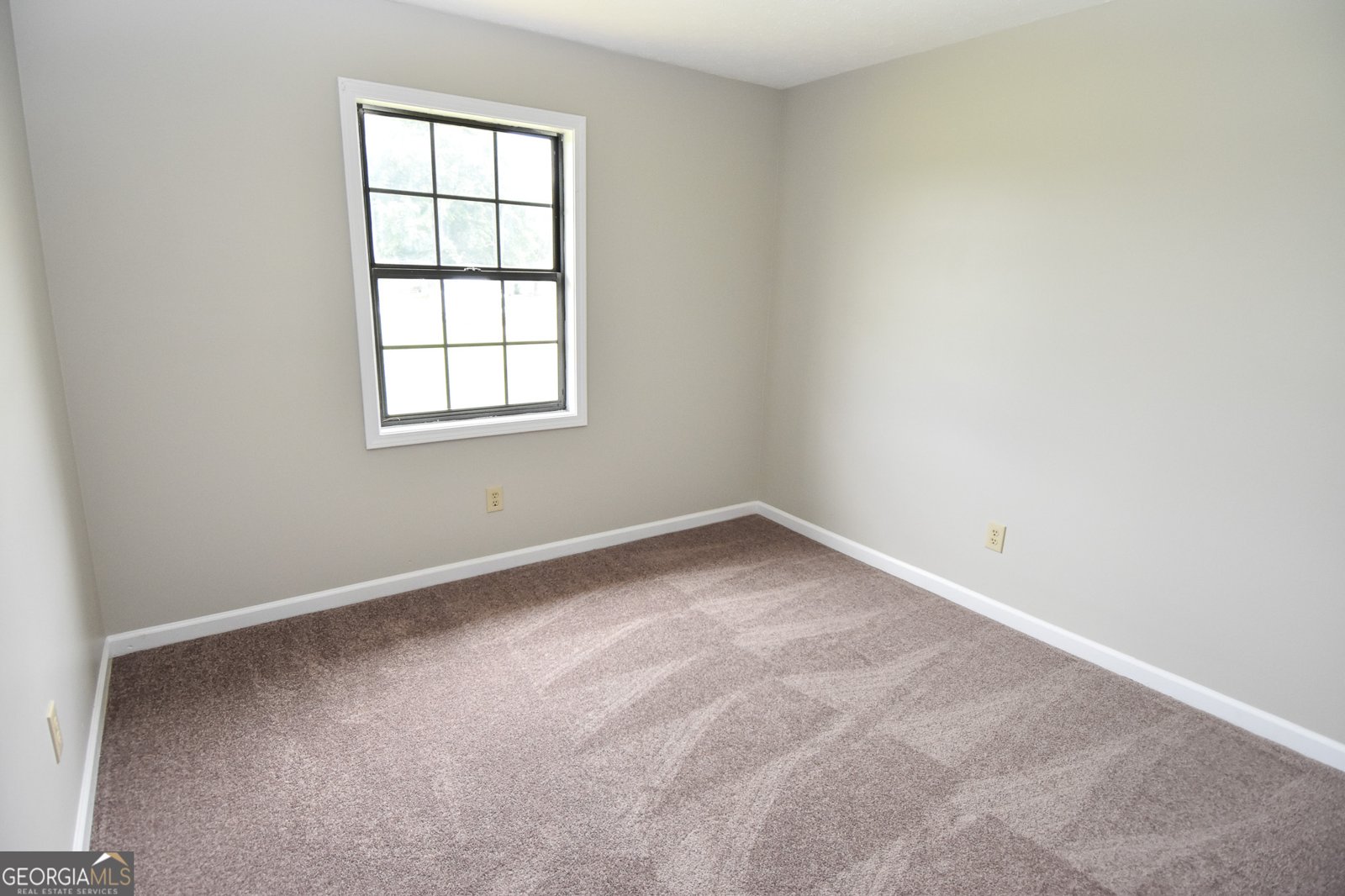 113 Meadowview Lane Williamson - Photo 21