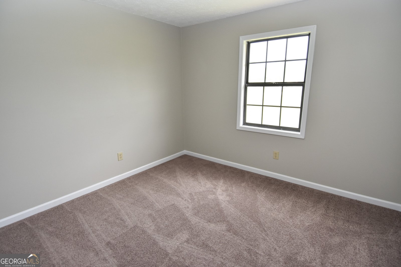 113 Meadowview Lane Williamson - Photo 22