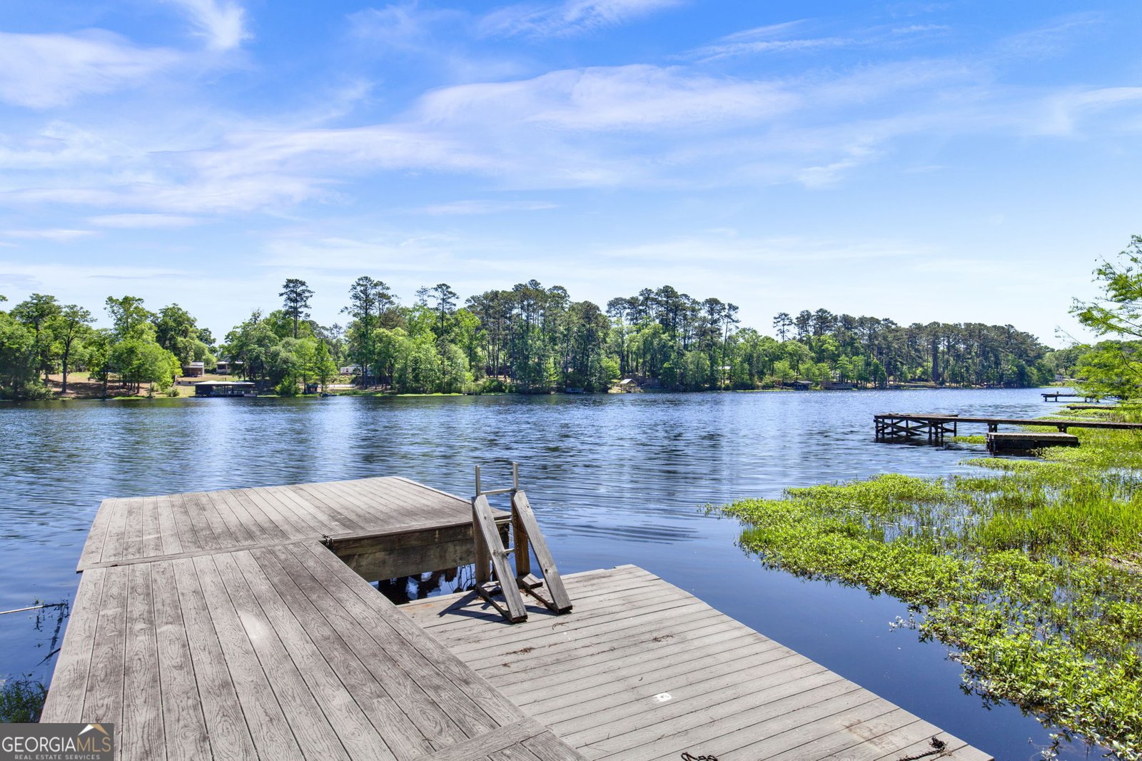 725 Blue Gill Road Ellabell - Photo 19