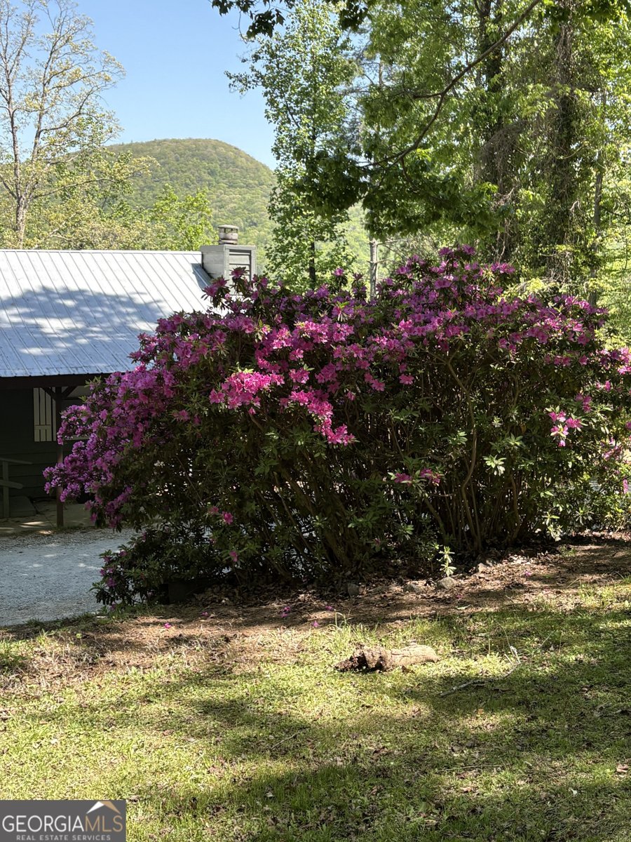 668 Cross Street Clayton - Photo 37