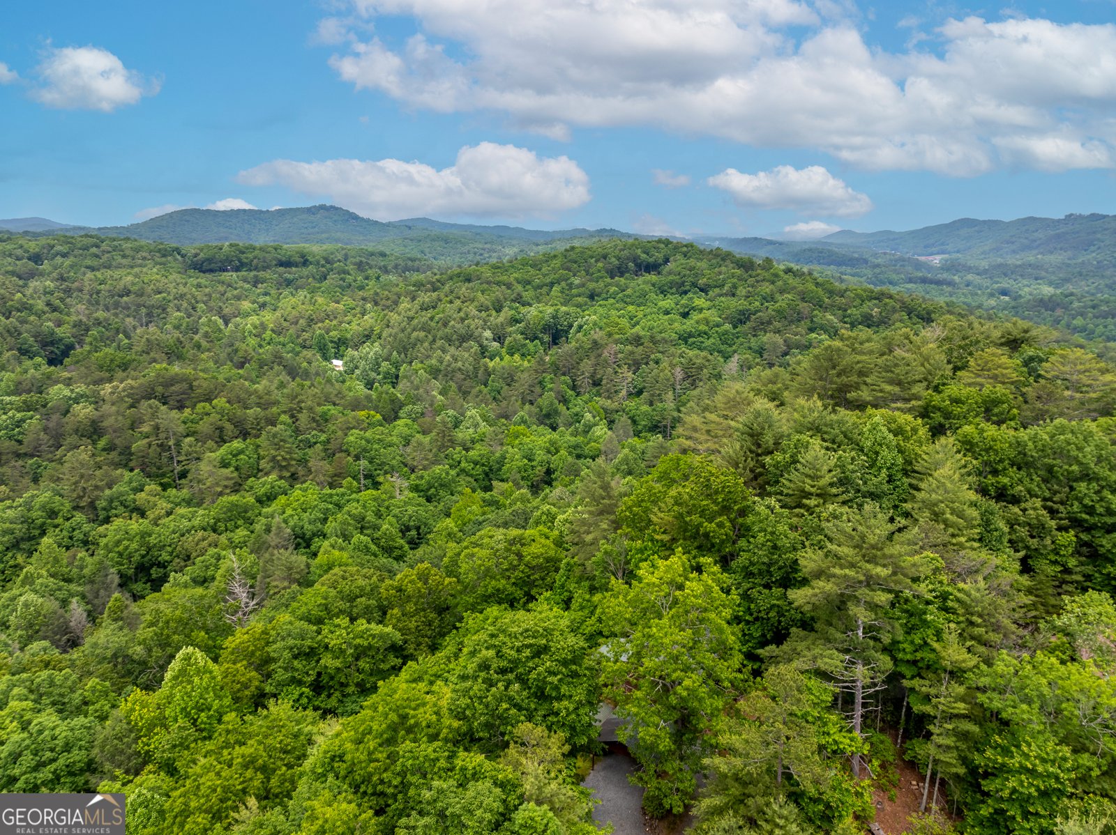 237 Dupont Drive Blue Ridge - Photo 10