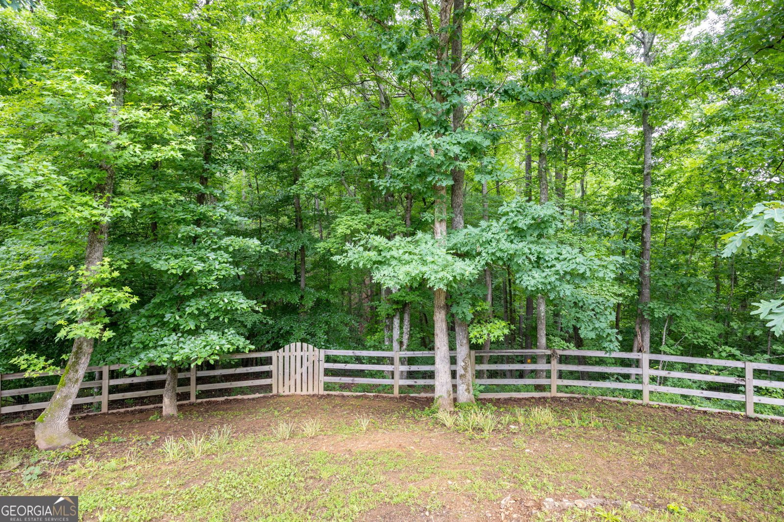 419 Shoals Trail Dallas - Photo 33