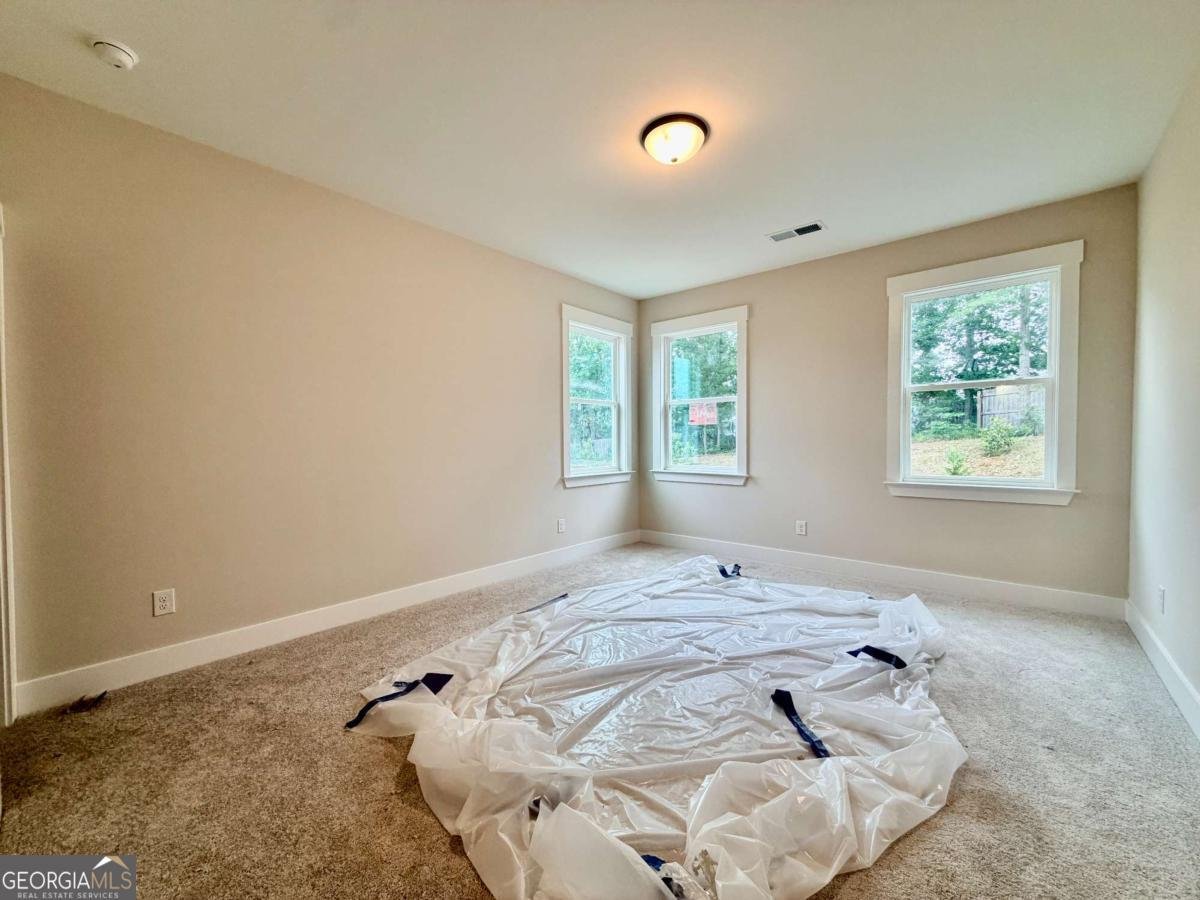 90 Cedar Crest Lane Dawsonville - Photo 28