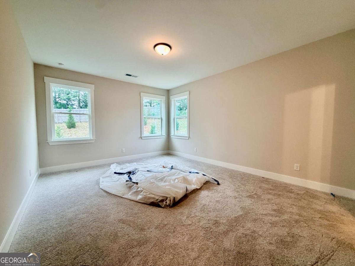 90 Cedar Crest Lane Dawsonville - Photo 31