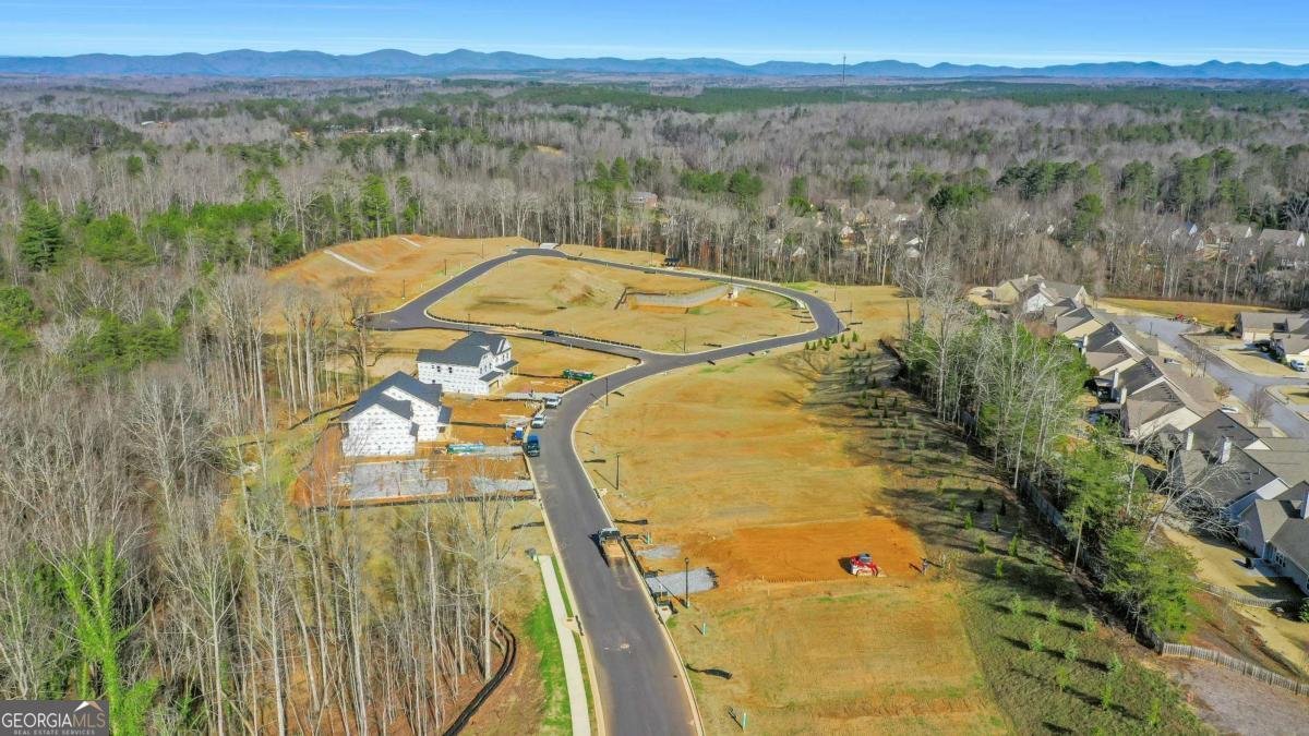 90 Cedar Crest Lane Dawsonville - Photo 43
