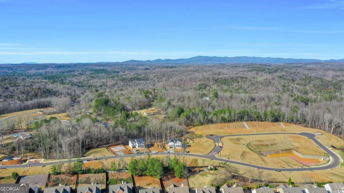 90 Cedar Crest Lane Dawsonville - Photo 44