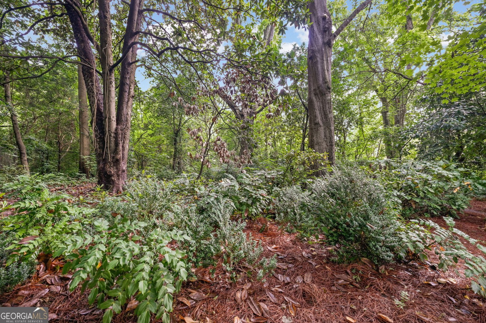 9 Temple Avenue Newnan - Photo 58