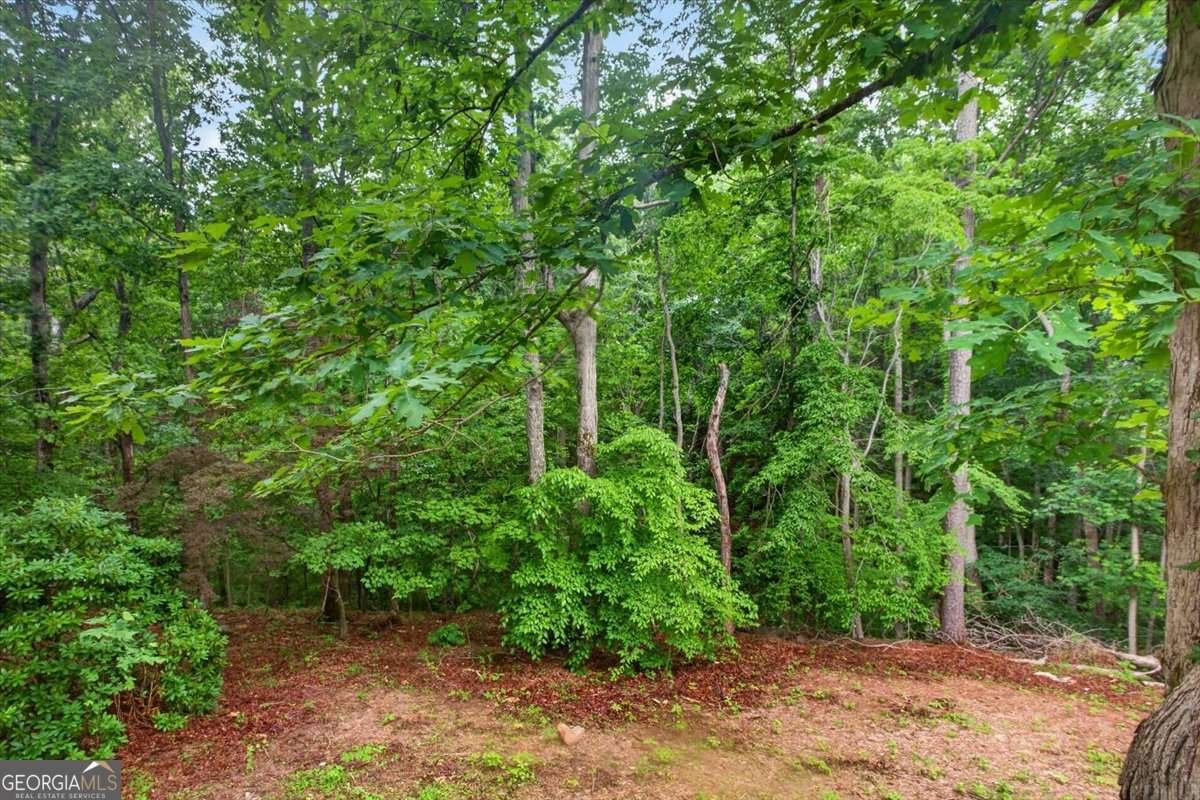472 Old Mccoy Place Waleska - Photo 27