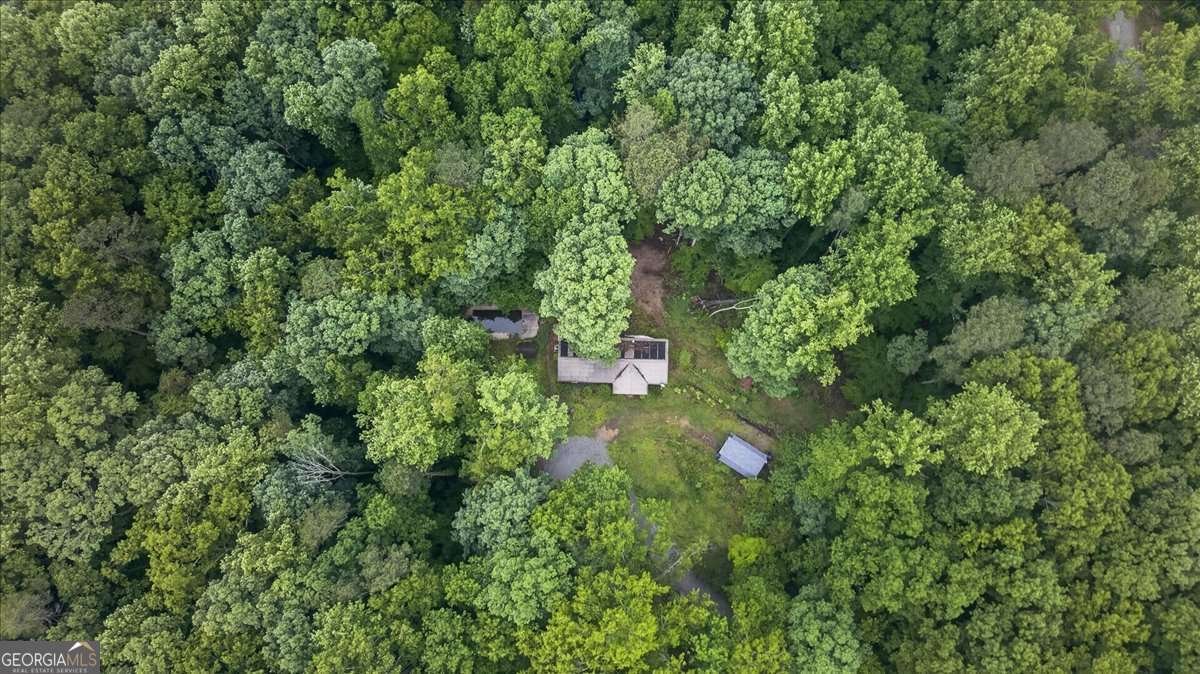 472 Old Mccoy Place Waleska - Photo 33