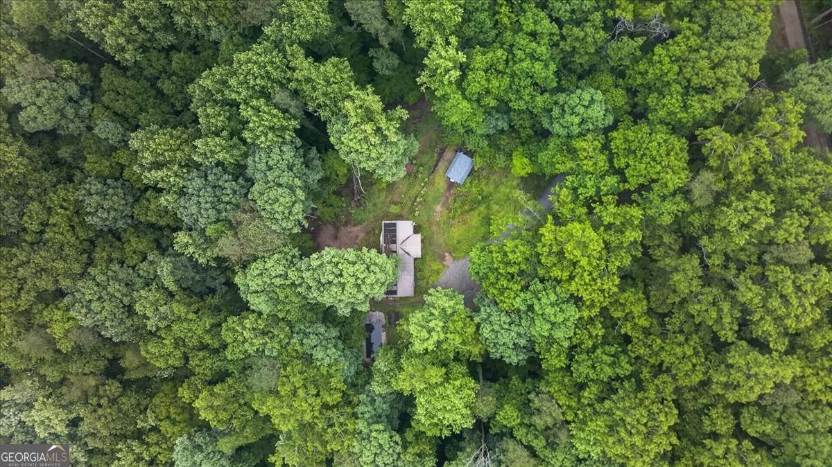 472 Old Mccoy Place Waleska - Photo 34