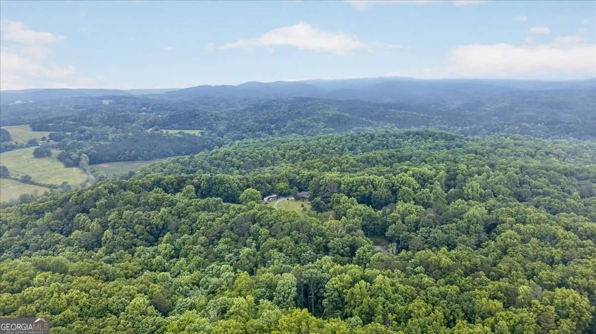 472 Old Mccoy Place Waleska - Photo 35