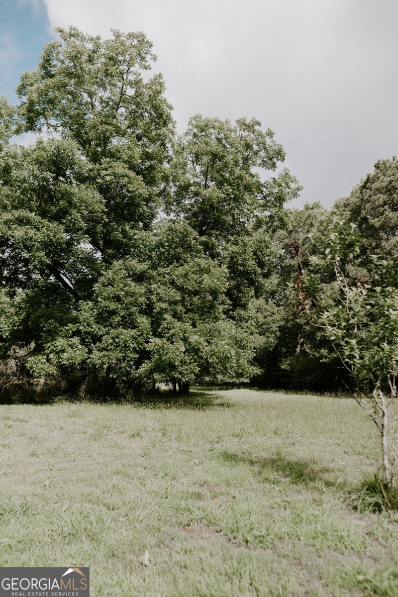 481 Skinners Bypass Milner - Photo 36