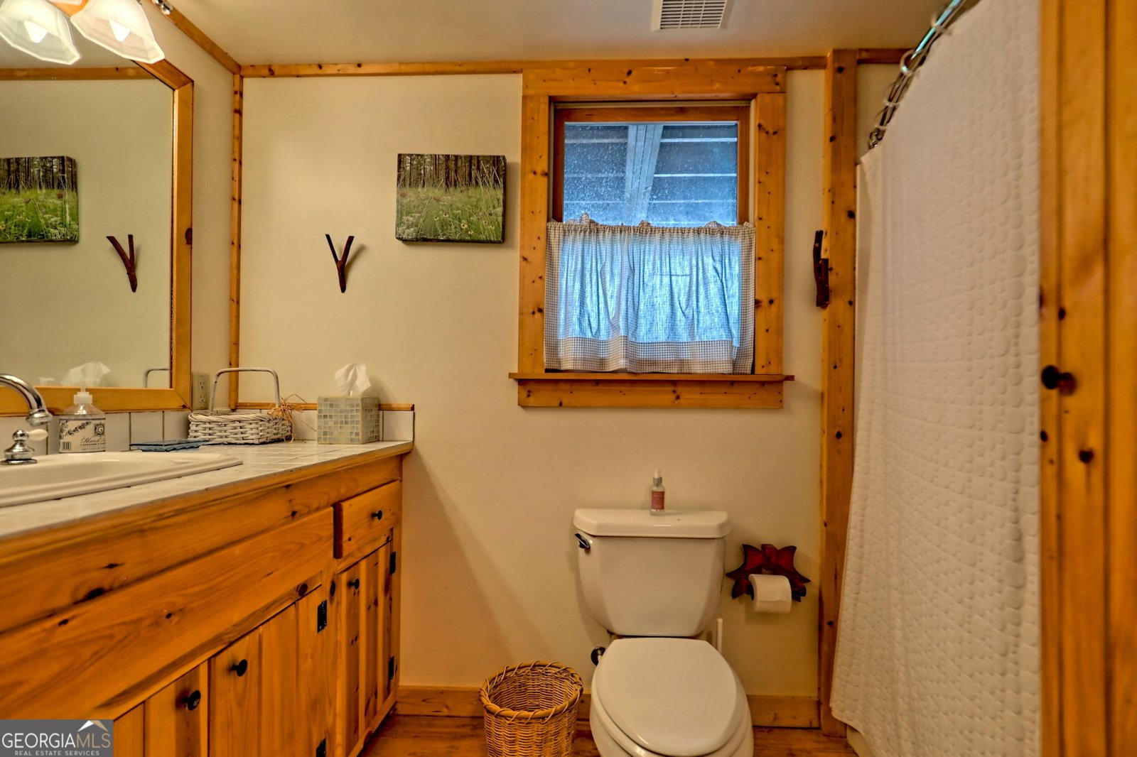 3019 Moccasin Creek Road Clarkesville - Photo 48