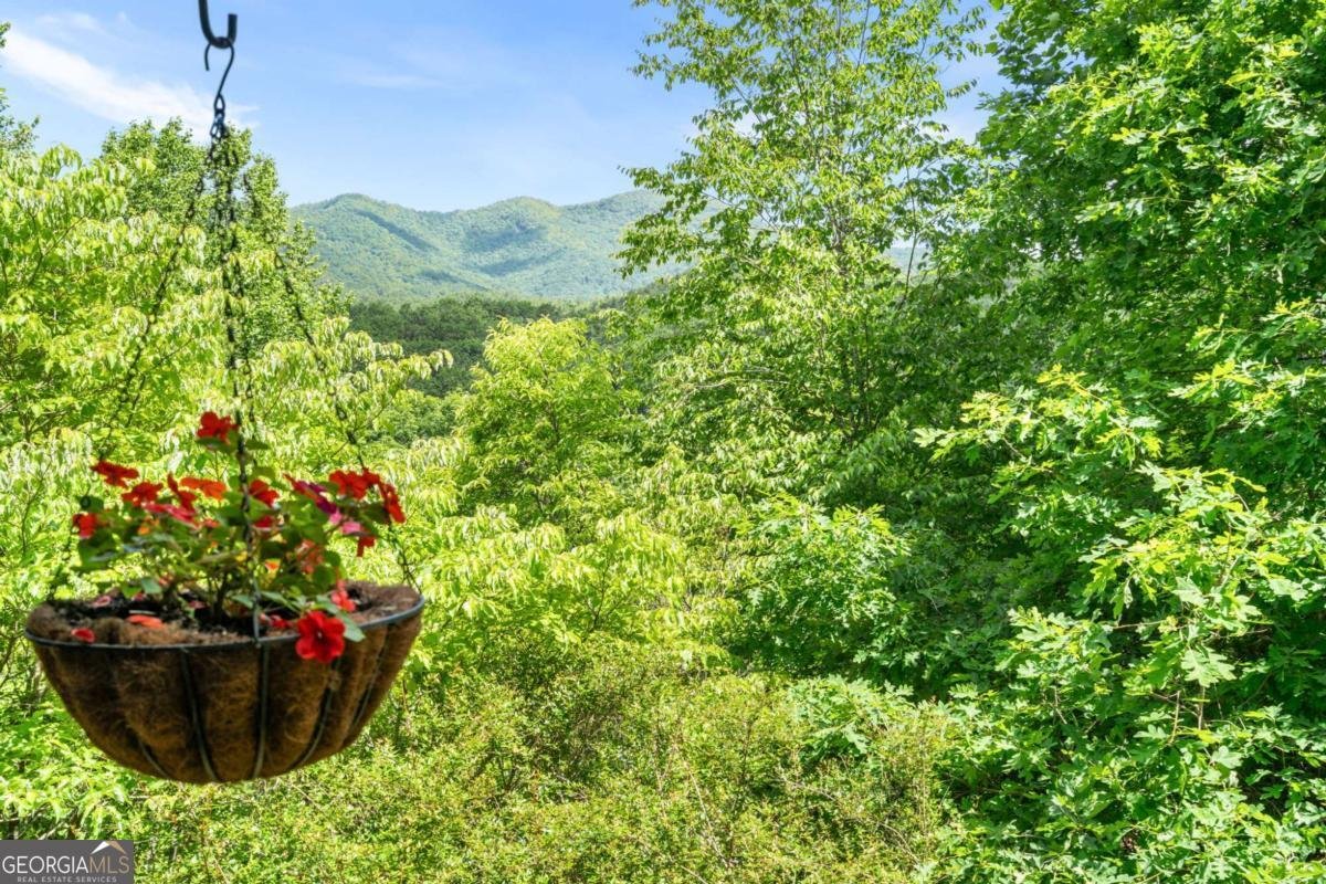 7866 Upper Hightower Road Hiawassee - Photo 27