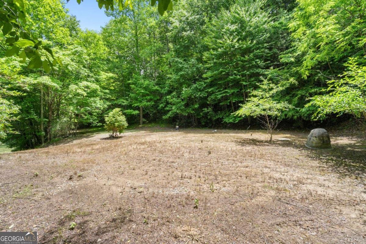7866 Upper Hightower Road Hiawassee - Photo 34