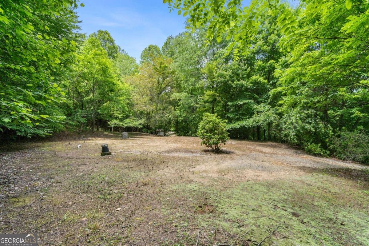7866 Upper Hightower Road Hiawassee - Photo 38