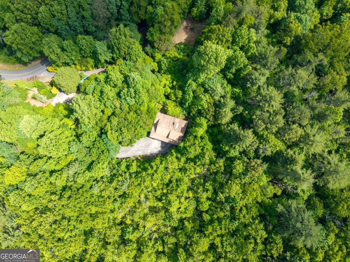 7866 Upper Hightower Road Hiawassee - Photo 6