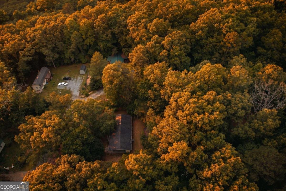 92 Nowhere Road Blairsville - Photo 26