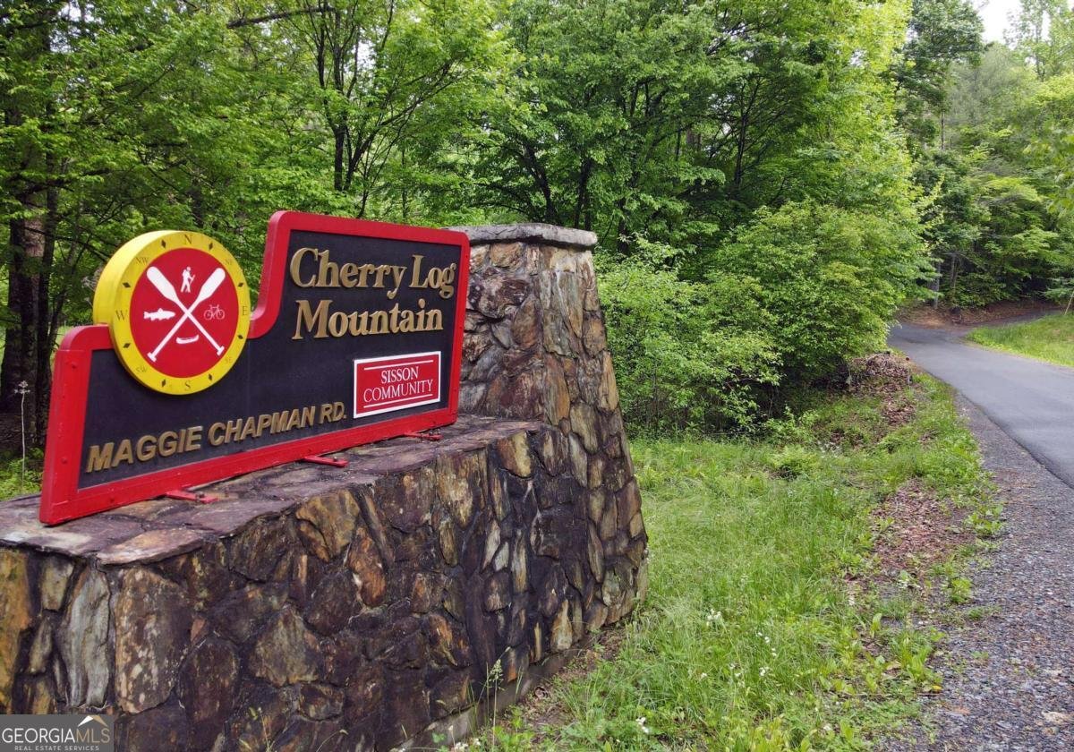 31 Eagle Feather Drive Cherry Log - Photo 31