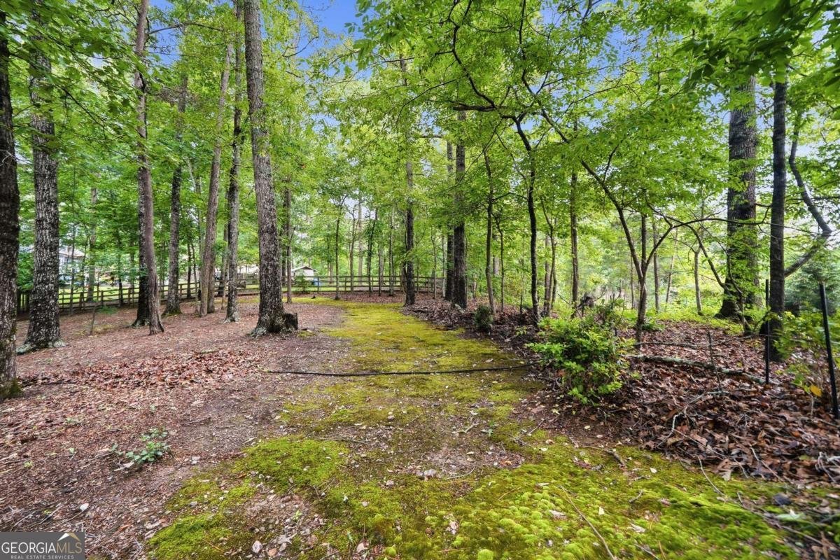 160 Carmel Ridge Road Canton - Photo 80