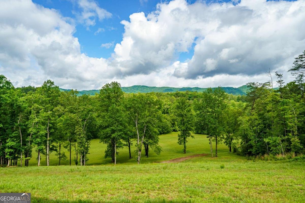 5664 Mobile Road Blue Ridge - Photo 40