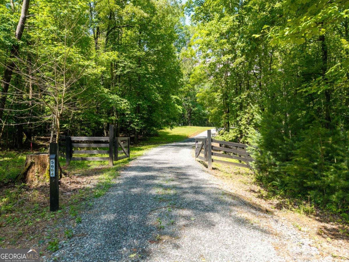 5664 Mobile Road Blue Ridge - Photo 42