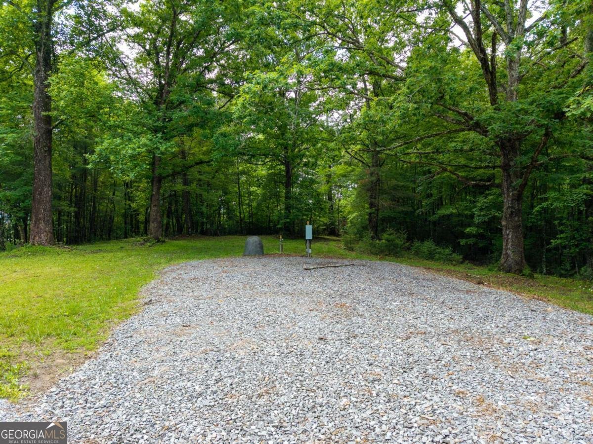 5664 Mobile Road Blue Ridge - Photo 44
